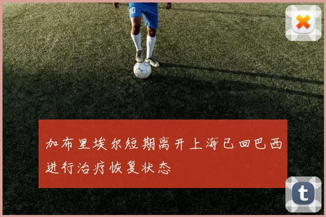 加布里埃尔短期离开上海已回巴西进行治疗恢复状态