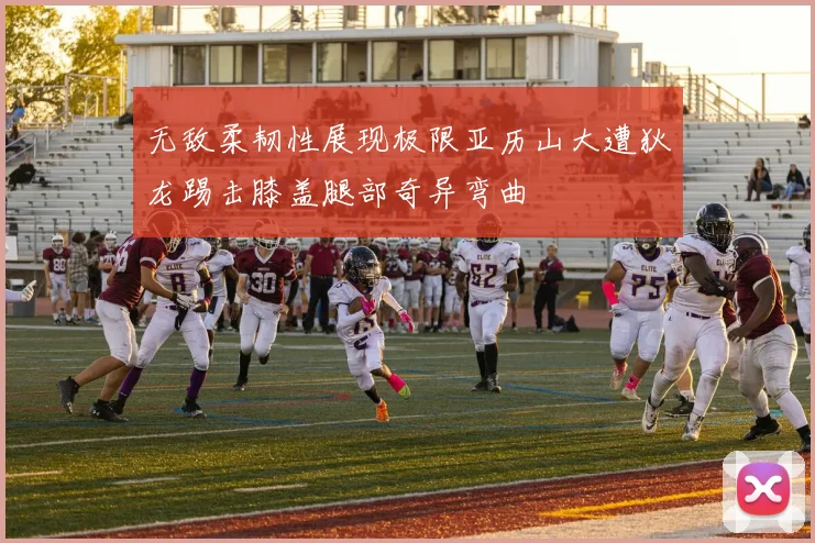 无敌柔韧性展现极限亚历山大遭狄龙踢击膝盖腿部奇异弯曲