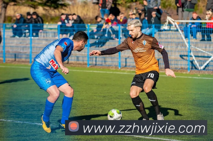 九游体育官方下载平台生态图